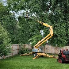 Best Hedge Trimming  in Kingstree, SC